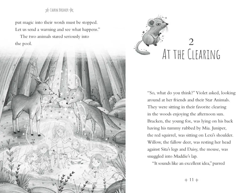 Charm Breaker US - Paperback / softback