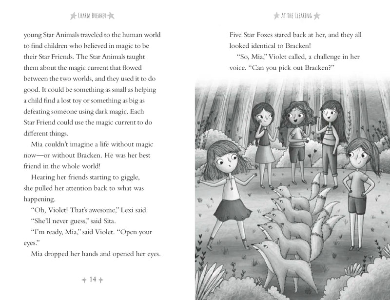 Charm Breaker US - Paperback / softback