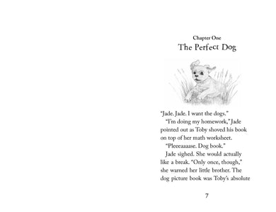 The Borrowed Puppy US - Paperback / softback