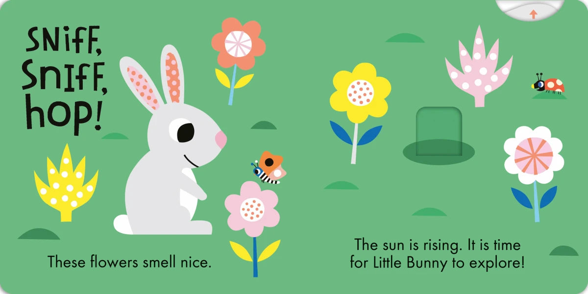 Hop, Hop! US - Board book
