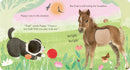 Playtime on the Farm US - Board book