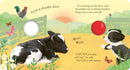 Playtime on the Farm US - Board book