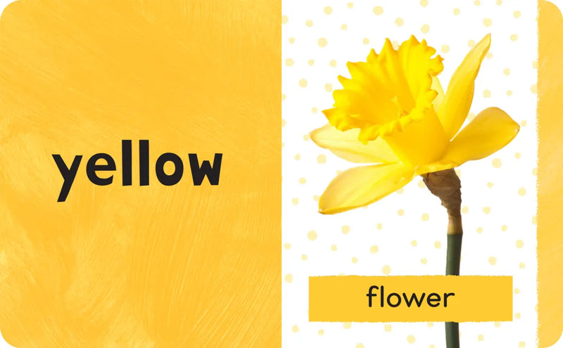 Early Learning Library US - Multiple-component retail product, boxed