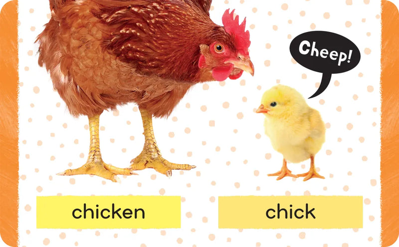 Early Learning Library US - Multiple-component retail product, boxed