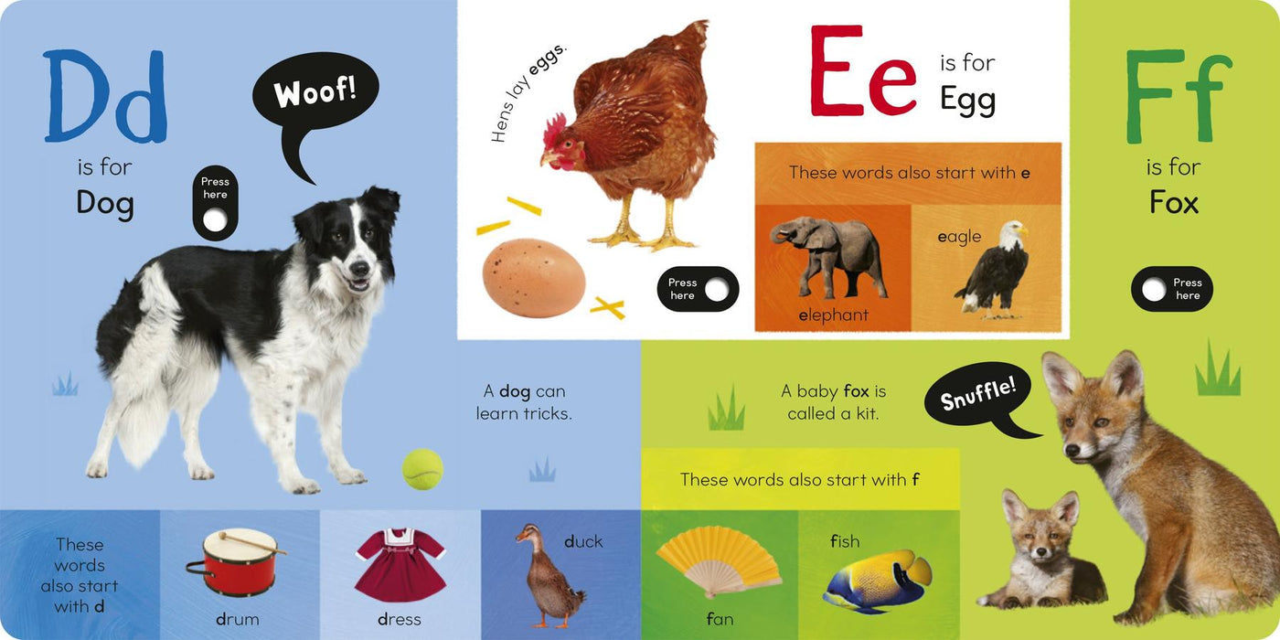 Noisy ABC US - Board book
