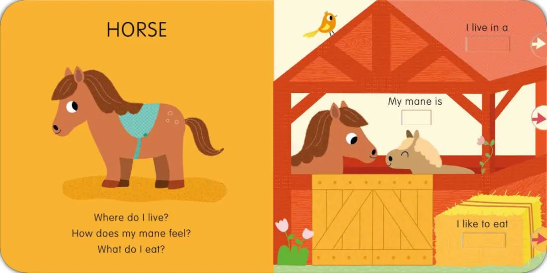 Animals: Slide and See First Words US - Board book