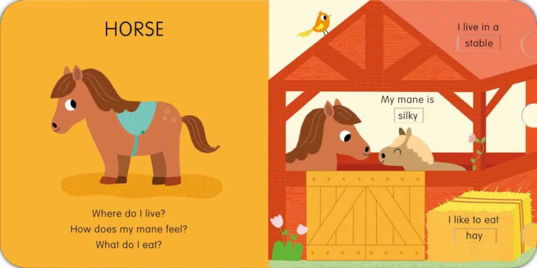 Animals: Slide and See First Words US - Board book