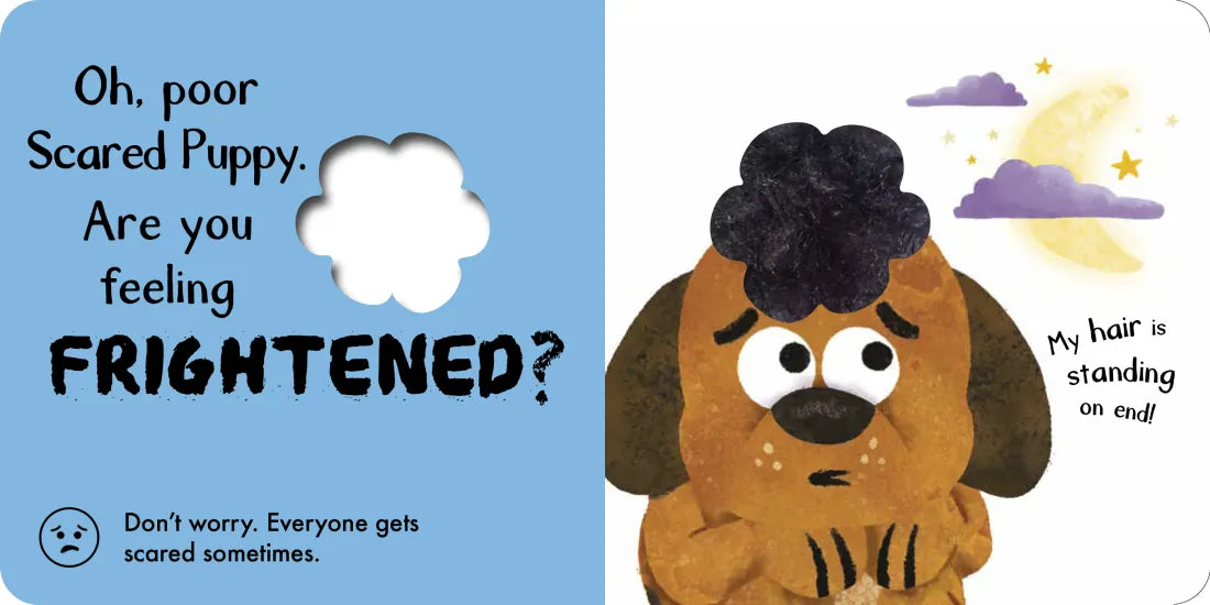Scared Puppy: Touch and Feelings US - Board book