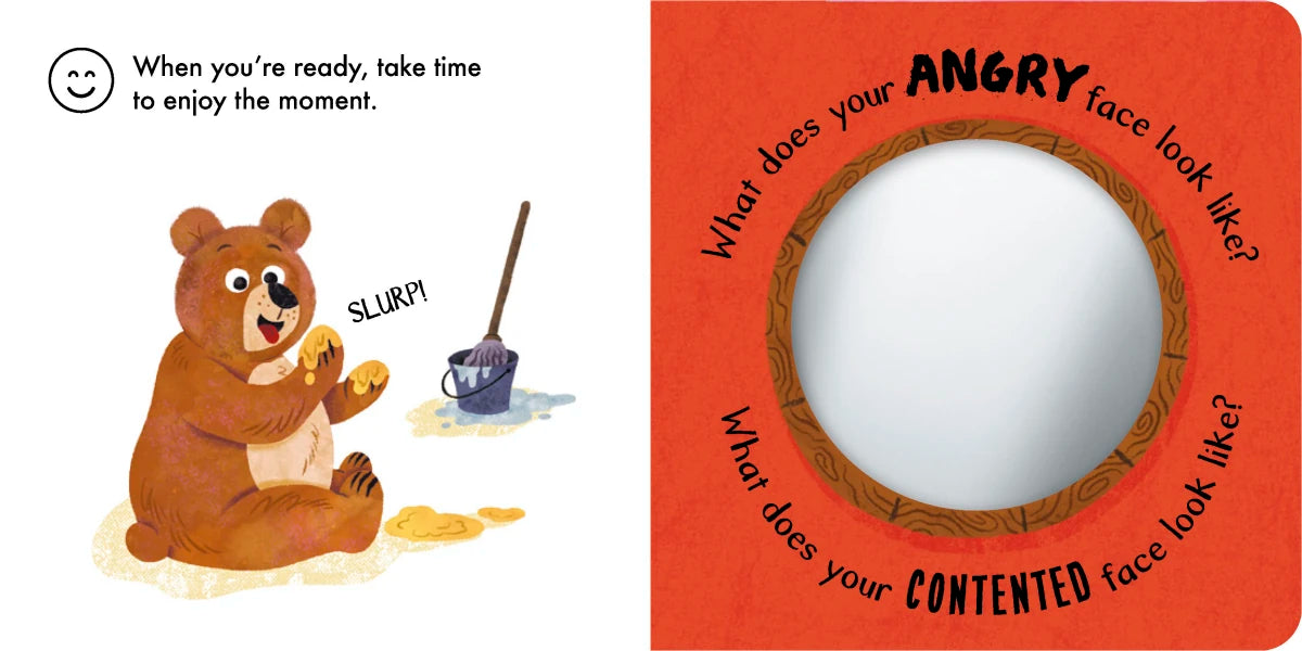 Angry Bear: Touch and Feelings US - Board book