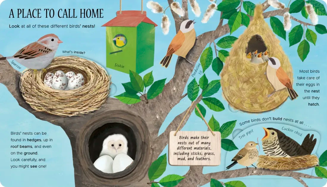 One Little Egg US - Board book