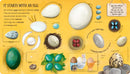 One Little Egg US - Board book
