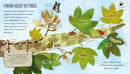 One Little Leaf US - Board book