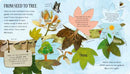 One Little Leaf US - Board book