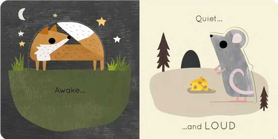 Big and Little US - Board book