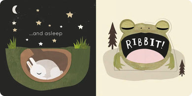 Big and Little US - Board book