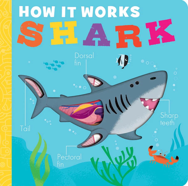 How It Works: Shark