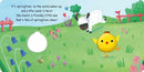 Little Chick's Springtime US - Board book