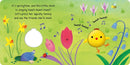 Little Chick's Springtime US - Board book