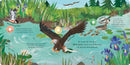 Songs of the Birds US - Board book
