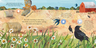 Songs of the Birds US - Board book
