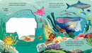 What Can You See? Under the Sea US - Board book