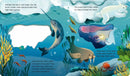 What Can You See? Under the Sea US - Board book