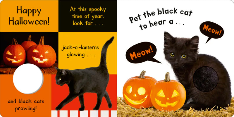 Noisy Halloween US - Board book