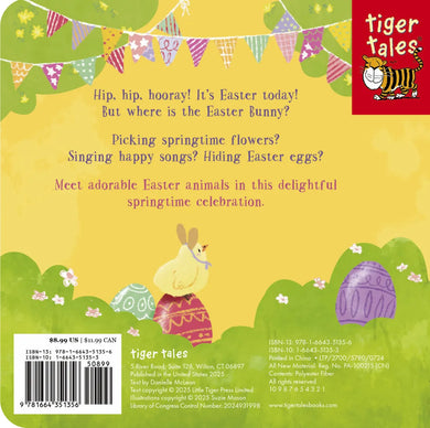 Can You Find the Easter Bunny? US - Board book