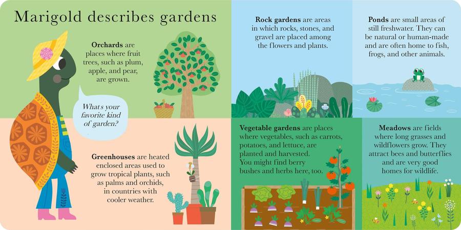 Number Garden US - Board book
