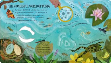 One Little Tadpole US - Board book