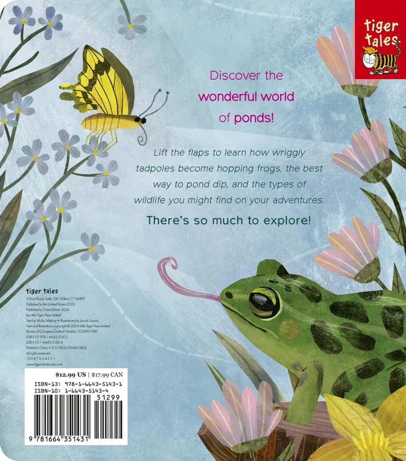 One Little Tadpole US - Board book