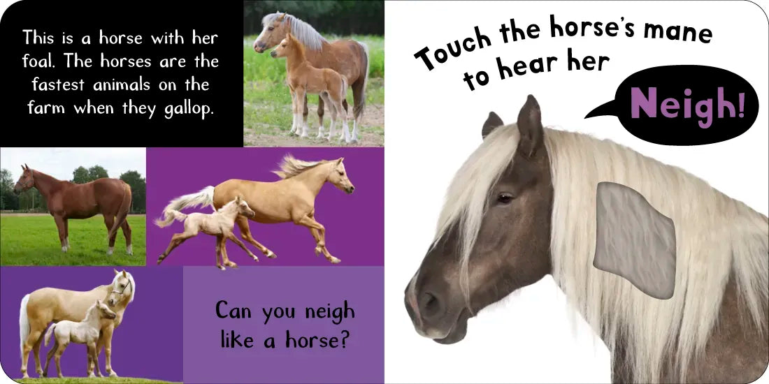 Noisy Animal 3-Book Boxed Set: My First Touch and Feel Sound Books US - Multiple-component retail product, boxed