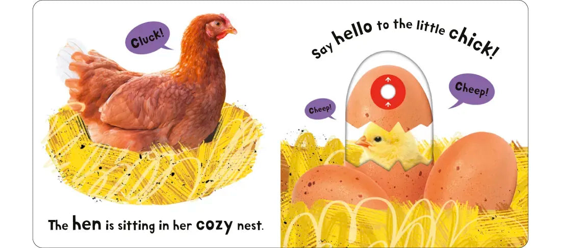 Farm: My First Touch and Explore US - Board book