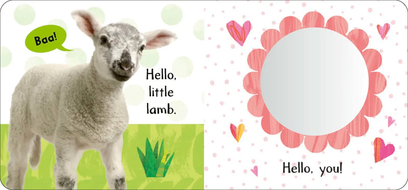 Baby Animals: My First Cloth Book US - Multiple-component retail product