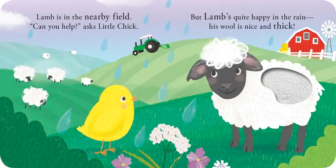 Little Chick US - Board book