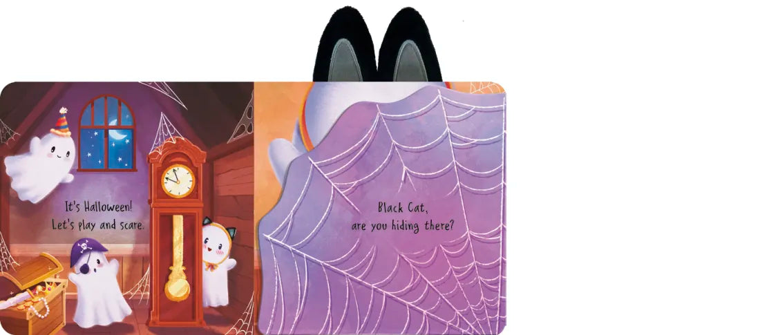 Can You Find the Black Cat? US - Board book