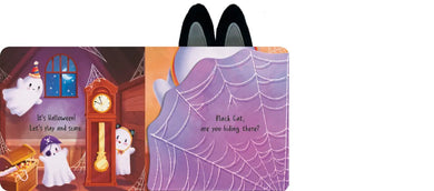 Can You Find the Black Cat? US - Board book