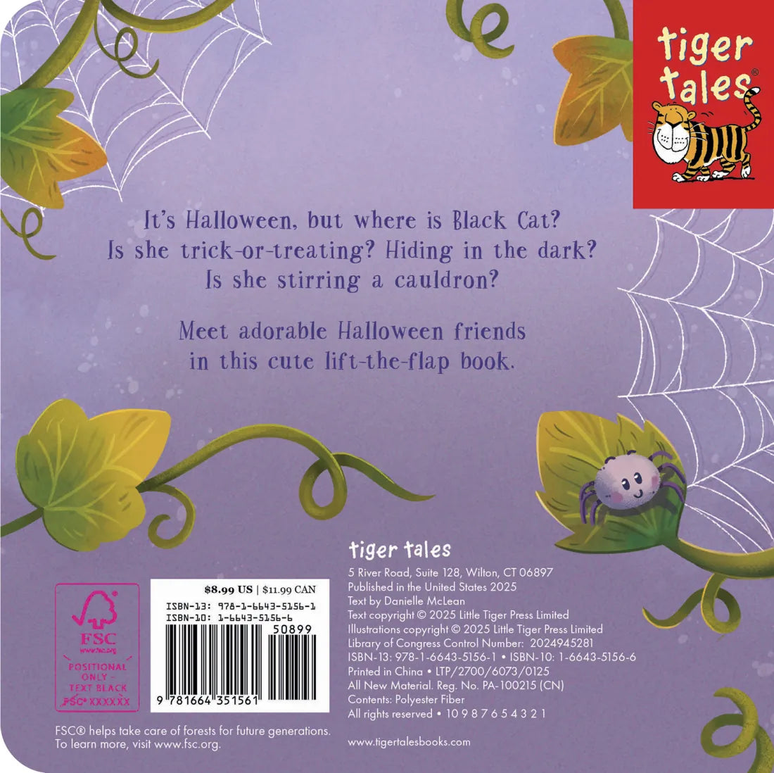 Can You Find the Black Cat? US - Board book