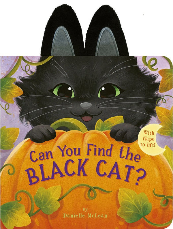 Can You Find the Black Cat?-Children’s / Teenage fiction: General and modern fiction-買書書 BuyBookBook