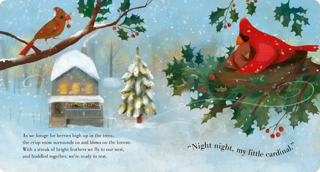 Night Night, Christmas US - Board book