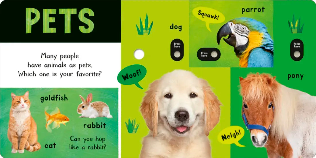 Noisy Animal World US - Board book