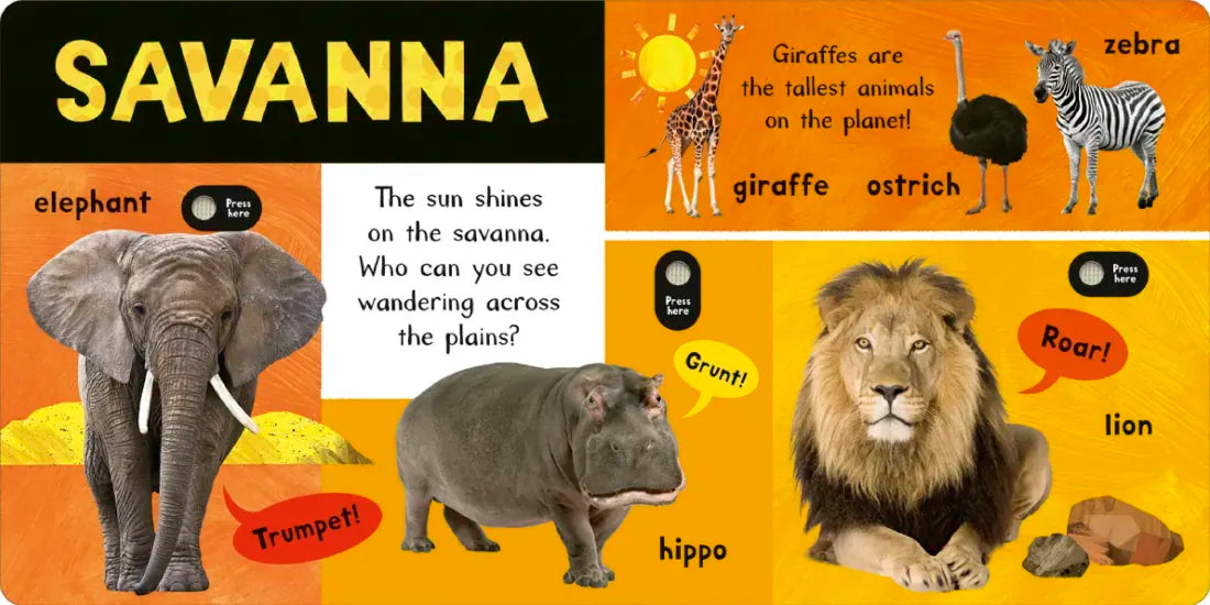 Noisy Animal World US - Board book