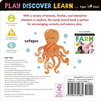 A to Z: My First Touch and Explore US - Board book