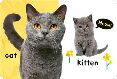 My First Learning Box Set: Little Library US - Multiple-component retail product, boxed