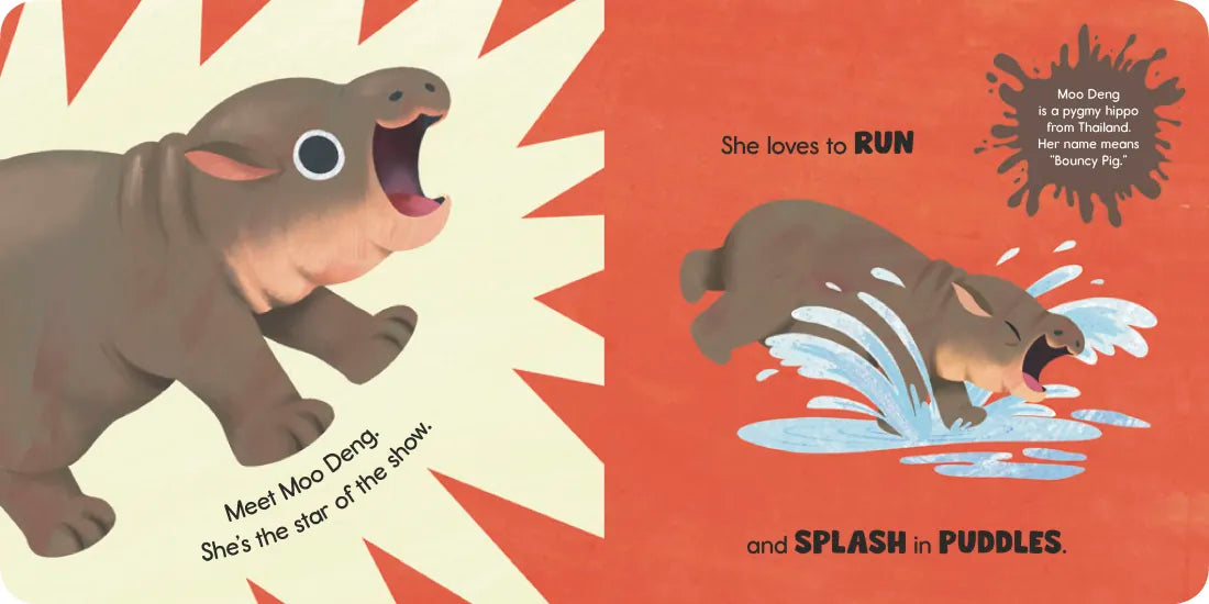 Moo Deng Says No! US - Board book
