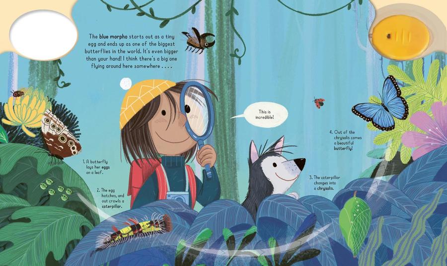 Magic Flashlight: Explore the Rain Forest US - Hardback