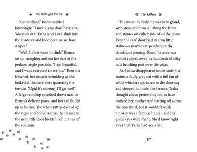 The Midnight Visitor US - Paperback / softback