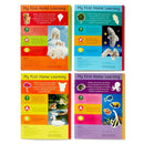 Alphabet and Numbers: 4 Activity Book Boxed Set with Stickers US - Multiple-component retail product, boxed