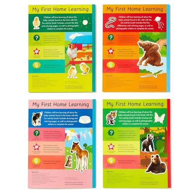Baby Animals: 4 Activity Book Boxed Set with Stickers
