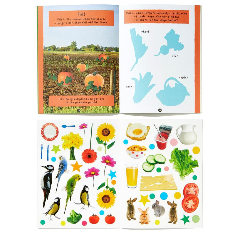 First Words and More: 4 Activity Book Boxed Set with Stickers US - Multiple-component retail product, boxed